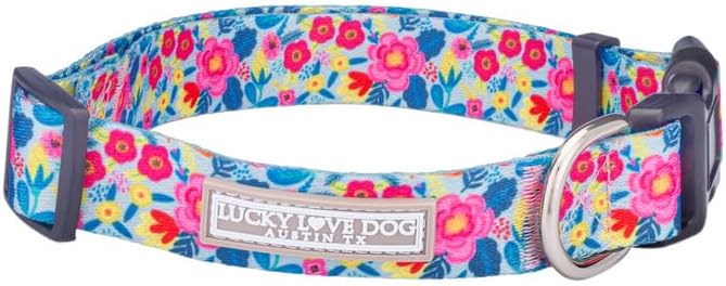 Lucky Love Dog - Adjustable Dog Collar with Easy Click Buckle for Small to Large Ones, Durable, & Comfortable for Male & Female Dogs, Pet Collar for Puppies & Adult Dogs - Valentina, XS