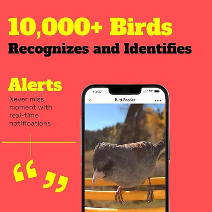 Easy Quick Set Up, Smart Bird Feeder with Camera - Dual Solar Panels,1080P High-Definition Wireless Outdoor Video, Durable with Squirrel Alarm for Home, Back Yard, and Identify 10,000+ Bird Species