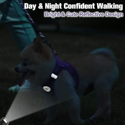 BEAUTYZOO Small Dog Harness and Leash Set,Step in No Choke No Pull Soft Mesh Dog Harnesses Reflective for Extra-Small Medium Puppy Dogs and Cats, Plaid Dog Vest Harness for XS S Pets, Purple S