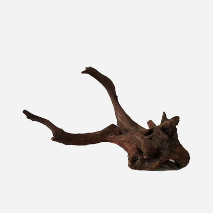 LYPHARD AQUARIUMS Natural Driftwood for Aquarium Decor, L21.26×W12.2×H11.81 Inches Large Drift Wood Decorations for Reptile Hide, Fish Tank, Optional Shapes