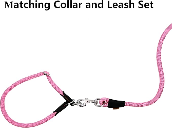 Dog Leash, Braided Rope Traction – Walking Training Lead for Small Dogs ((1/3") x 6FT, Pink)
