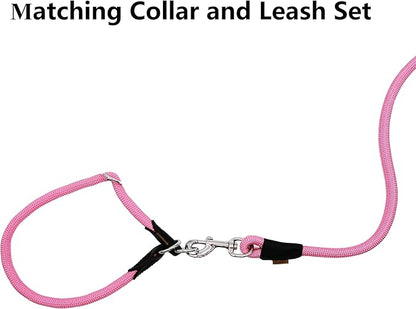 Dog Leash, Braided Rope Traction – Walking Training Lead for Small Dogs ((1/3") x 6FT, Pink)