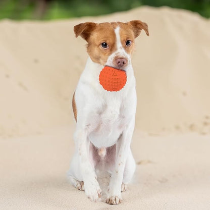 Best Pet Supplies Interactive Squeaky Dog Chew Toy, Ideal Dog Toys for Chewers, Small, Medium & Large Dogs, and Fetch Lovers - Spiky Ball (Blue, Orange), Large 3.5"