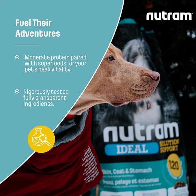 I20 Lamb & Brown Rice Dry Dog Food – Formulated for Skin, Coat, and Stomach | Kibble for Adults & Seniors | with Omega-3 Salmon Oil & Rosemary for Immunity and a Shiny Coat