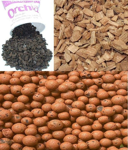 Superior Orchid Potting Mix: All-in-One Blend for Seedlings to Mature Orchids with Leca, Bark, Coco Chips & 12-Month Slow-Release Fertilizer (2lb)