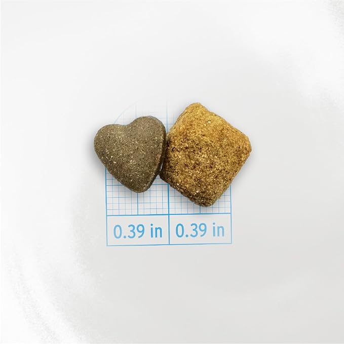 Forza10 - Dog Food, Dermo Dry Food for Itchy Skin, Sensitive Stomach & Coat Health, Limited Ingredient Dog Food, Non-GMO, Fish Flavor, Made in Italy (8.8 lb)