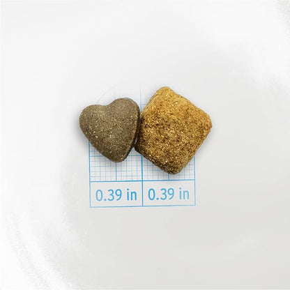 Forza10 - Dog Food, Dermo Dry Food for Itchy Skin, Sensitive Stomach & Coat Health, Limited Ingredient Dog Food, Non-GMO, Fish Flavor, Made in Italy (22 lb)