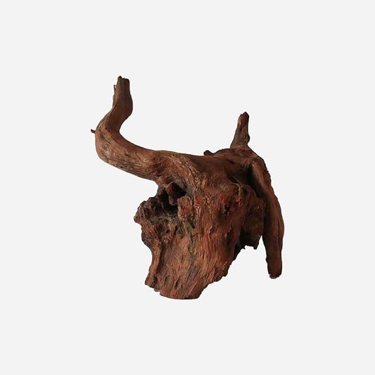 LYPHARD AQUARIUMS Natural Driftwood for Aquarium Decor, L12.99×W9.45×H13.39 Inches Large Drift Wood Decorations for Reptile Hide, Fish Tank, Optional Shapes