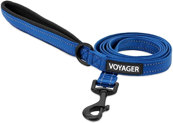 Best Pet Supplies Voyager Reflective Dog Leash or Collar with Neoprene Handle, for Small, Medium, and Large Breed Puppies, Cute and Heavy Duty for Walking, Running and Training - Royal Blue (Leash), L
