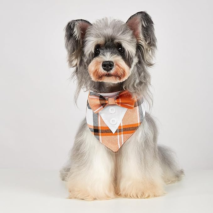 Fall Dog Tuxedo Bandana, Orange Plaid Pet Collar with Bowtie, Adjustable Halloween Thanksgiving Dog Tux Costume for Small to Extra Large Pets