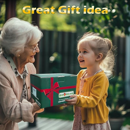 Birdream 2 Pack Bird Feeders for Outdoor Hanging, Retro Pagoda Design Fun Installation Bird Feeder, Attracting Wild Birds Chickadees Goldfinches Cardinals Finches and Sparrows