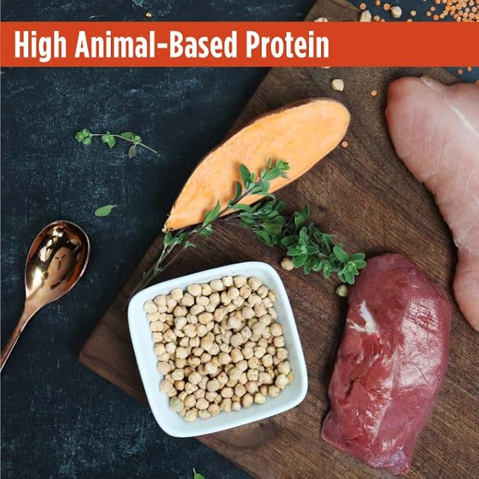 Nulo Freestyle High Protein Cat & Kitten Food, Turkey & Duck Recipe - Natural Grain-Free Dry Cat Food with Omega Fatty Acids & Probiotics, 4 lb Bag