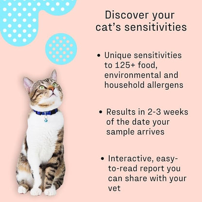 DNA MY DOG – Cat Allergy Test | Vet Recommended Test for Itchy, Sensitive Cats | Easy-to-Use Kit | Non-Invasive Cheek Swab not a Fur Test | Scientifically Valid | Includes Personalized Allergy Report