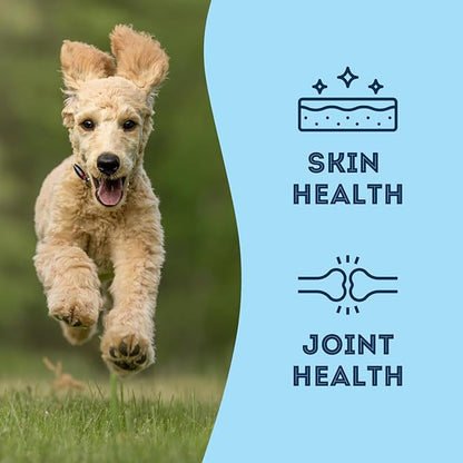 The Granville Island Pet Treatery Sardines for Dogs & Sardines for Cats (14.11 oz, Pack of 1) - Dehydrated Single Ingredient Dog Treats - All Natural Dog Treats, Grain Free – Puppy Training Treats