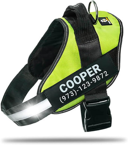 Personalized No-Pull Dog Harness with Name Patch, Adjustable, Reflective, Padded, Heavy Duty Pet Vest to Prevent Tugging, Pulling, or Choking, Training and Walking, Green, S