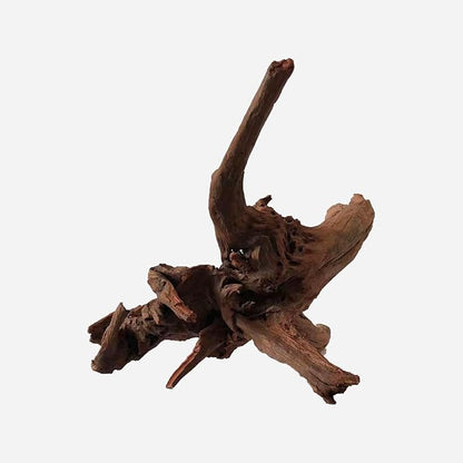 LYPHARD AQUARIUMS Natural Driftwood for Aquarium Decor, L17.72×W10.63×H9.45 Inches Large Drift Wood Decorations for Reptile Hide, Fish Tank, Optional Shapes