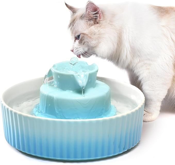 Ceramic Cat Water Fountain, Ceramic Pet Fountain, 2.1 L Drinking Fountains Bowl for Cats and Dogs with Replacement Filters and Foam(Sky Blue)