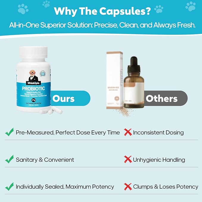 Probiotics for Dogs, Dog Probiotics with Digestive Enzymes with and Prebiotics for Support Gut & Digestion Health, Immune Support, Reduce Diarrhea, 60 Capsules