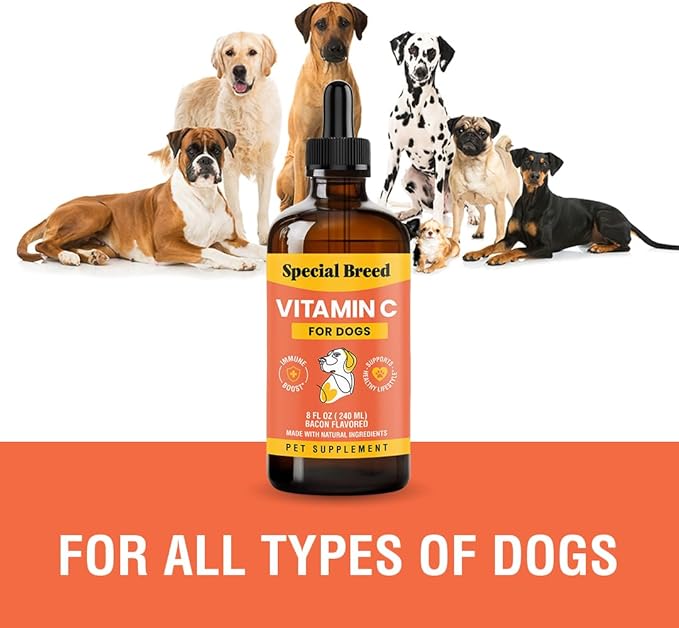 Vitamin C for Dogs, Helps Support Immune System, Vitamin C Liquid Supplement, Dog Immune Booster, Bacon Flavored, 8oz