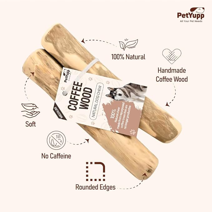 Natural Coffee Wood Dog Chew Medium, 2 Count - Promotes Dental Health, Reduces Tartar & Chewing Exercise for Aggressive Chewers, Small, Medium & Large Dogs - Safe Chew Toy for Puppy