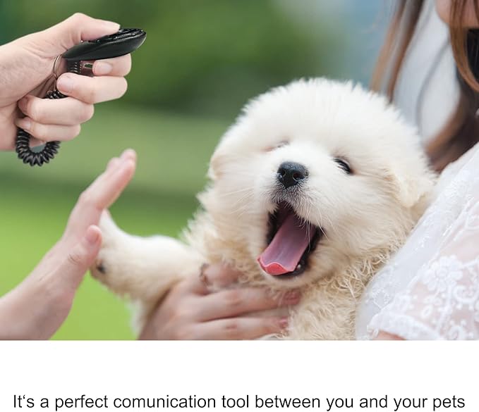 Diyife Dog Clicker for Training, 2 Pack Dog Training Clicker, Clicker Dog Training with Wrist Strap, Pet Training Clicker, Perfect for Dog Cat Puppies Behavioral Training (Black and Water Lake Blue)