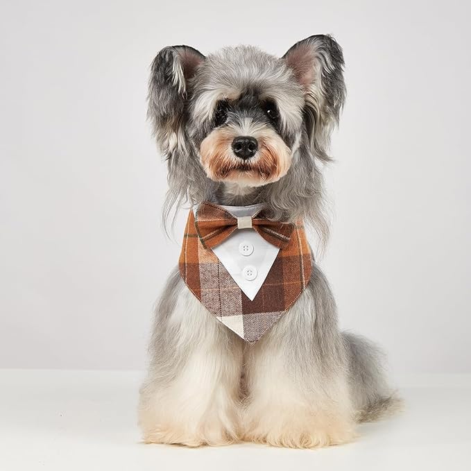 HDGDT Fall Dog Tuxedo Bandana, Orange Plaid Pet Collar with Bowtie, Adjustable Halloween Thanksgiving Dog Tux Costume for Small to Extra Large Pets