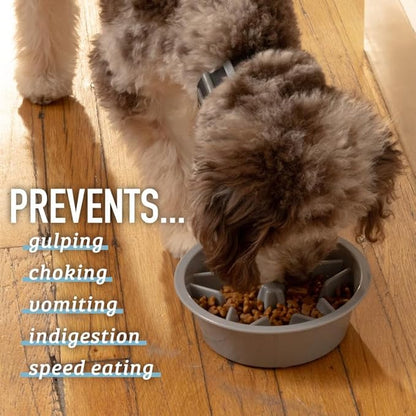 Leash Boss 2-Pack Slow Feeder Dog Bowls - 2 Cup, Puzzle Dog Food Bowl with Stainless Steal Bowl, Fits into Elevated Pet Feeders, Slow Eating for Large, Medium & Small Sized Breeds, White