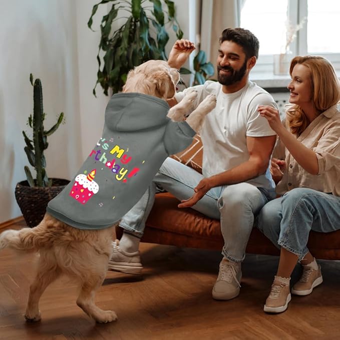 GreenJoy Dog Sweater Dog Hoodie Cold Weather Coat Hooded Sweatshirt for Puppies,Cats, Small Medium Large Dogs (Grey(It's My Birthday), X-Small)