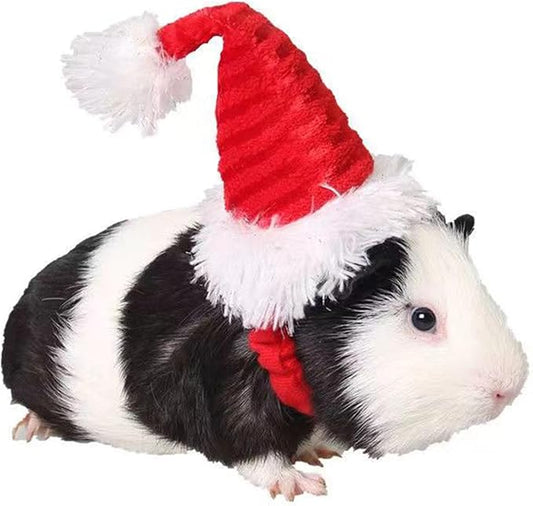 Guinea Pig Santa Hat,Kitten Bunny Hamster Chinchilla Hedgehog Ferrets Squirrel Christmas Hat Stripe Santa Claus Cap Party Hat for Small Animals (X-Small)