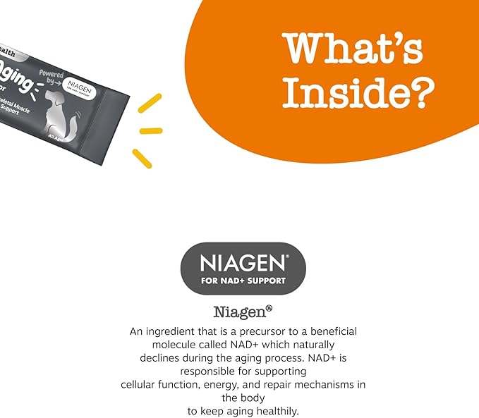 Zesty Paws NAD+ Precursor Supplement for Dogs - Niagen for Healthy Aging & Skeletal Muscle Support & Recovery - Brain, Heart, & Cellular Energy Support - Nicotinamide Riboside Chloride – 30 Sachets