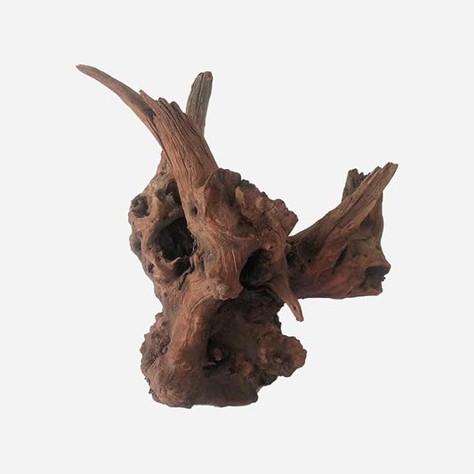 LYPHARD AQUARIUMS Natural Driftwood for Aquarium Decor, L12.2×W9.06×H14.96 Inches Large Drift Wood Decorations for Reptile Hide, Fish Tank, Optional Shapes