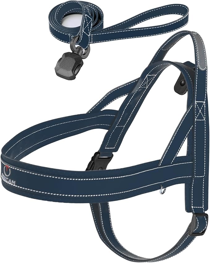 Magnetic Quick-Release Buckle Dog Harness and Leash Set, Easy Walk Faux Leather Puppy Harness, Easy On & Off Dog Vest with Handle for Medium, Large Girl Boy Dogs for Hiking Training, Blue, M