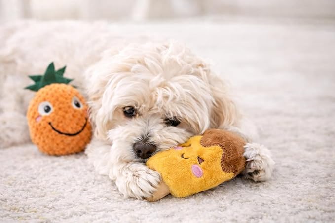 Jalousie 18 Pack Dog Squeaky Toys Cute Stuffed Pet Plush Puppy Chew for Small Medium Pets - Bulk