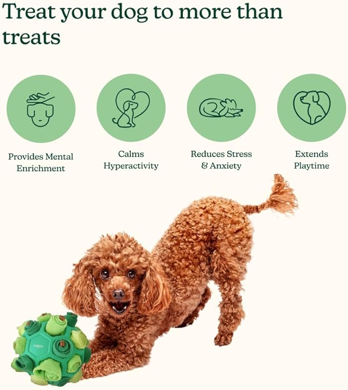 Reggie Forager Ball for Dogs | Interactive Treat Dispensing Toy for Mental Stimulation | Reduces Boredom, Stress & Hyperactivity | Enrichment Ball for Small to Medium Sized Dogs | Durable & Washable