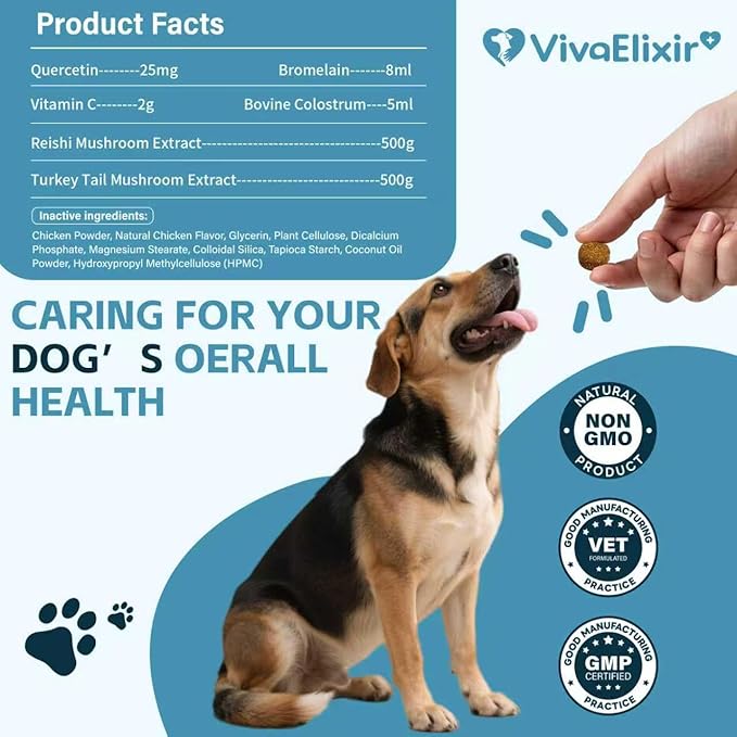 Quercetin for Dogs with Bromelain - Dog Allergy & Itch Relief Chews, Balanced Immune System – Skin & Ear Soothing Support for Yeast Infection, Hot Spots & Seasonal Allergies - 120 Treats