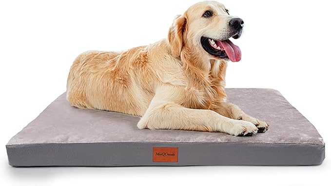 Waterproof Dog Bed for Small Sized Dogs, Orthopedic Washable Crate Pad 23 inch, Egg Crate Foam Pet Bed Mat with Removable Cover, Anti-Slip Reversible Kennel Pad, 23''×17'', Grey