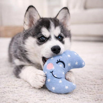 Jalousie 18 Pack Dog Squeaky Toys Cute Stuffed Pet Plush Puppy Chew for Small Medium Pets - Bulk