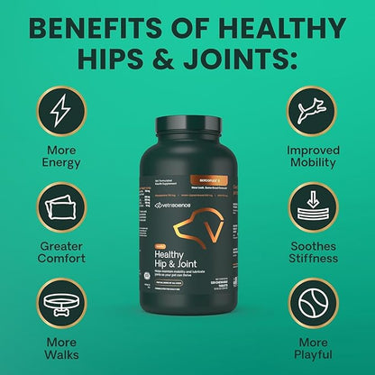 VETRISCIENCE Glyco Flex® 2 Hip and Joint Supplement for Dogs, Chewable Tablets (2 pack)