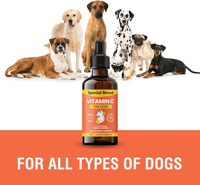 Vitamin C for Dogs, Helps Support Immune System, Vitamin C Liquid Supplement, Dog Immune Booster, Bacon Flavored, 2oz