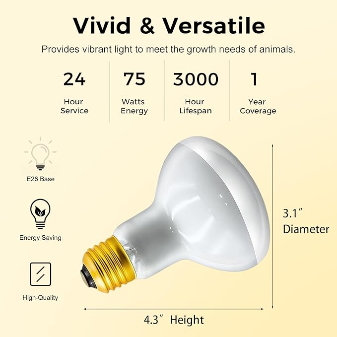 MISDOOD Reptile Heat Lamp 75W, 2 Pack Daylight UVA Basking Light Bulbs with E26 Base for Lizards, Turtles, Snakes and Amphibians