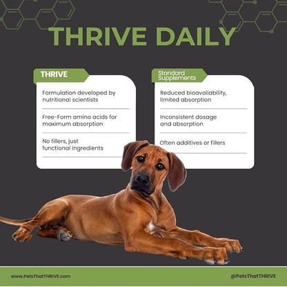Thrive Daily Amino Acids for Dogs – Muscle Health, Recovery, Energy & Longevity – Supports Joints, Skin & Coat – Peanut Butter Soft Chews, 30 Count (4.8oz)