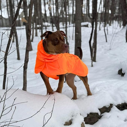 Spark Paws Dog Raincoat, Waterproof Windproof Rain Jacket, for Small Medium Large Extra Large Dogs, Reflective Breathable Full-Body Coverage Dry Suit - Orange - 2XL