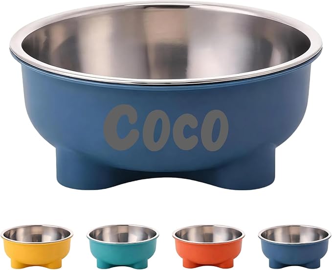 Personalized Dog Bowl for Small Dogs Custom Stainless Steel Dog Bowl with Name Metal Food Water Bowls for Puppy Cat Pet