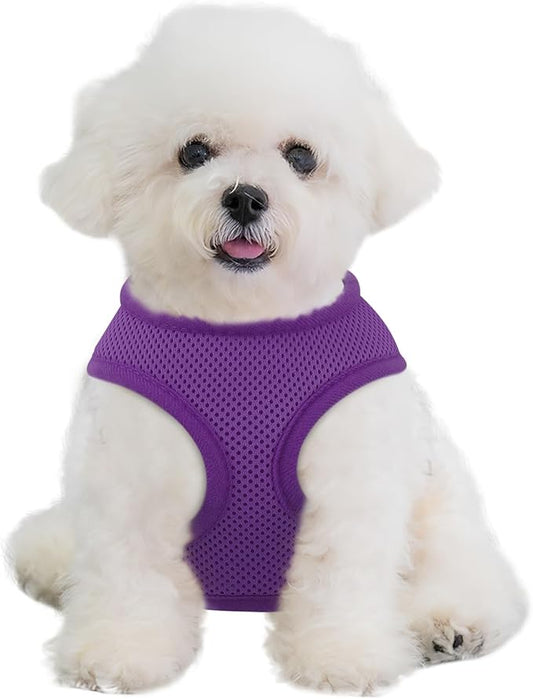 MoNiBloom Dog Harness for Small Sized Dog, Soft Puppy Padded Vest for Walking, Running, Training - Purple, XS