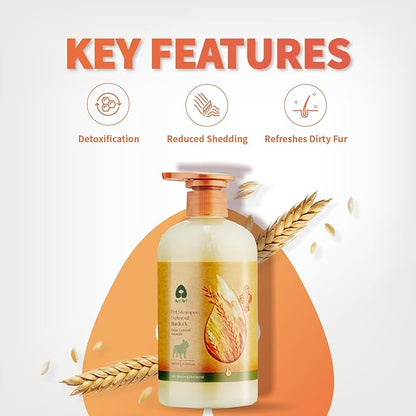 Arf Arf Odor Control Dog Shampoo - Advanced Deodorizing Formula for Smelly Dogs with Soothing Hydrolyzed Oat Protein for Dry, Itchy Skin Relief - Long Lasting Fresh Scent - Pro Grooming Results - 16oz