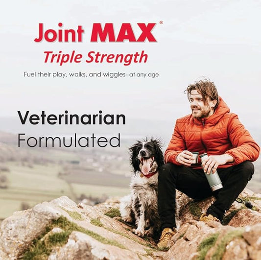 TS Joint Supplement Vet Formulated Pain & Inflammation Relief Treats Hip Dysplasia & Arthritis.Glucosamine, Chondroitin, Turmeric, MSM, HA, Creatine, Omega 3 EPA+DHA. All Dogs 240 Soft Chews