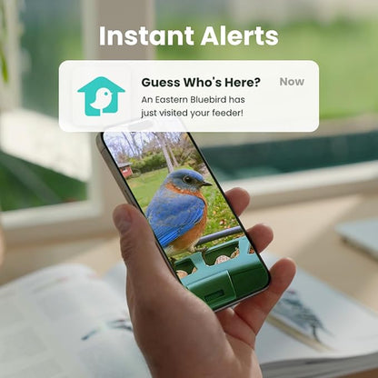 Birdfy 2 Smart Bird Feeder with Camera, AI Identifies Bird Species, 2K Dual-Lens + Side HD Camera for Live Streaming & Feeding View, Solar-Powered Backyard Birdwatching Gift Present