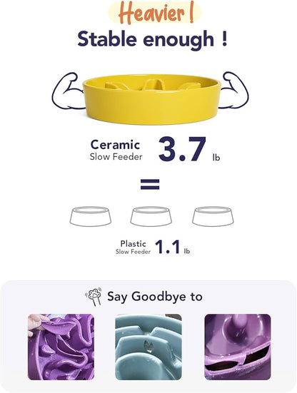LE TAUCI Slow Feeder Dog Bowls Ceramic,3 Cups Slow Feeding Dog Bowl Medium Large Breed, Pet Bowl for Fast Eaters, Puzzle Pet Dishes, Star Yellow