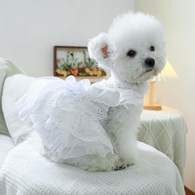 Fashion Sweet Puppy Dog Blingbling Princess Skirt Pet Dog Lace Cake Camisole Tutu Dress K-White XS
