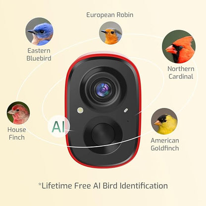Richbird Smart Bird Feeder Camera with Vivid 2.5K Color Night Vision, Free AI Bird Identifier, Durable Squirrel-Resistant Metal Body, Solar Powered, Outdoor Gift for Birds Lovers and Family